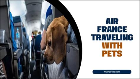 air france flying with pets.